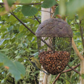 Acorn Hanging Fat Ball/Nut Feeder