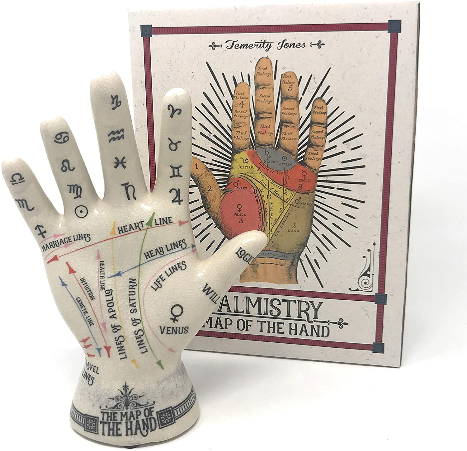 Temerity Jones Porcelain Crackle Phrenology Palmistry Hand Map of the Hand