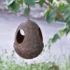 Acorn Bird Mixed Feeder