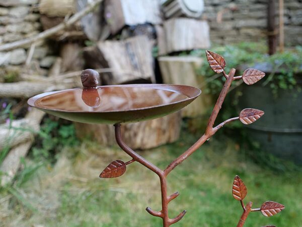 Wildlife World Vintage Garden Cherington Bird Bath