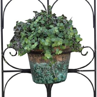 Double Scroll Plant Pot Wall Mounted Planter for Outdoors in Black Metal