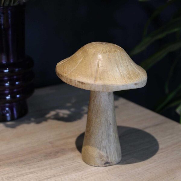 Decorative mushroom in mango tree 13 x 10 cm (Sml) - Image 2