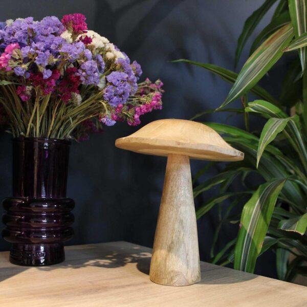 Decorative mushroom in mango tree 18 x 15 cm (Lge) - Image 3