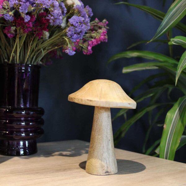 Decorative mushroom in mango tree 13 x 10 cm (Sml) - Image 3