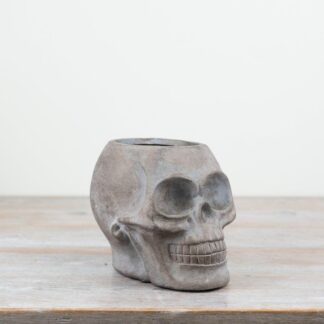 Grey Skull Planter 14.5cm