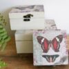 Vintage Butterfly boxes - set of 3 - Image 2