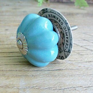 Teal Ceramic Drawer Pull