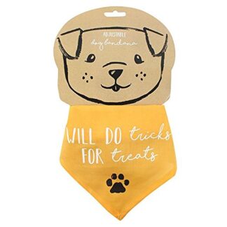 Dog Bandana Will Do Tricks For Treats