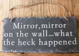 Slate Hanging Plaque - Mirror, Mirror On The Wall....What The Heck Happened
