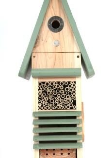Wildlife Hotel Hanging