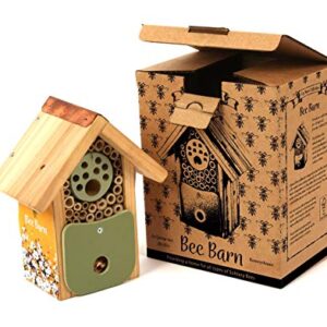 Wildlife World Solitary Bee Bee Barn Home House Gift Boxed